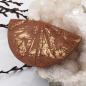Preview: Brosche Anstecknadel 37x70x7mm Kunststoff Fächer braun-gold-strich
