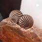 Preview: Clip Ohrring ca. 21mm Muscheldekor altgoldfarben matt Kunststoff
