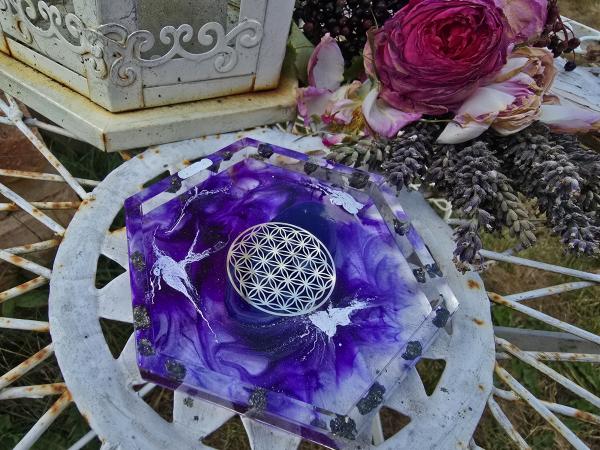 Untersetzer "Blickfang"